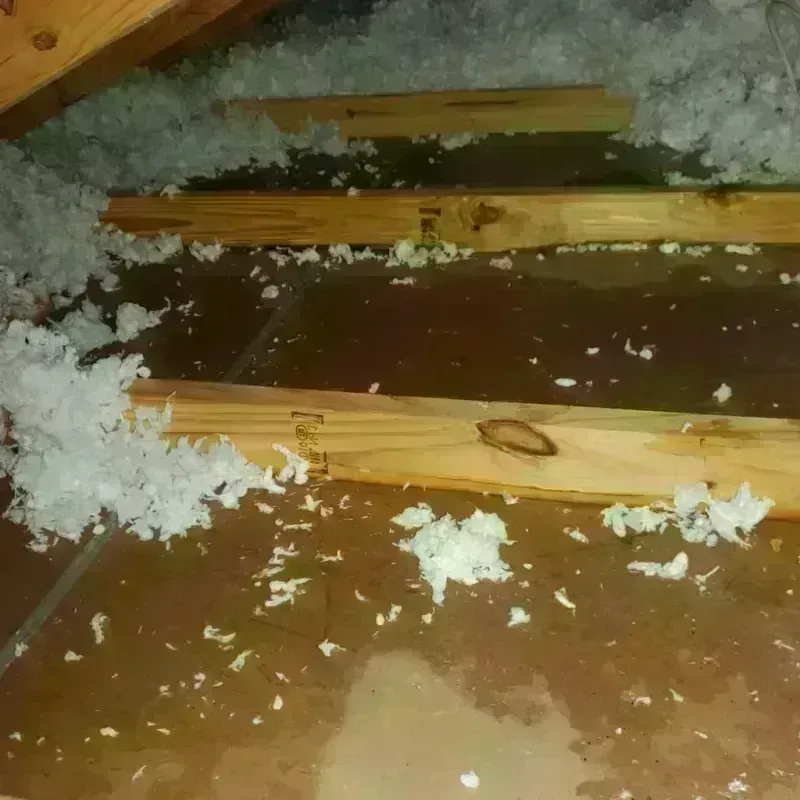 Attic Water Damage in Laurel Bay, SC